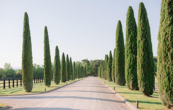 the entrance of il borro surrounded by beautiful cypress trees leading the way