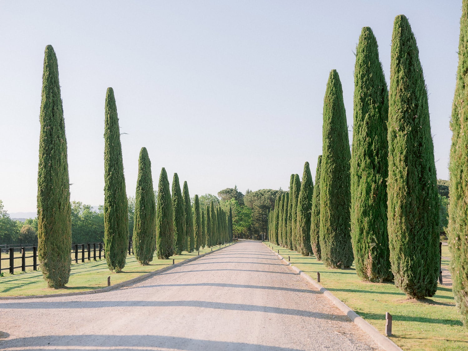 the main entrance at il borro with cypress trees lined on the sides